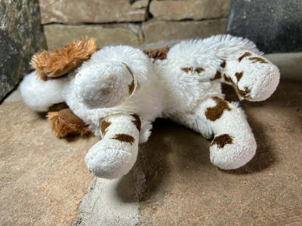Douglas Cuddle Toy Flair Springer Spaniel Plush Puppy Dog - Picture 8 of 12